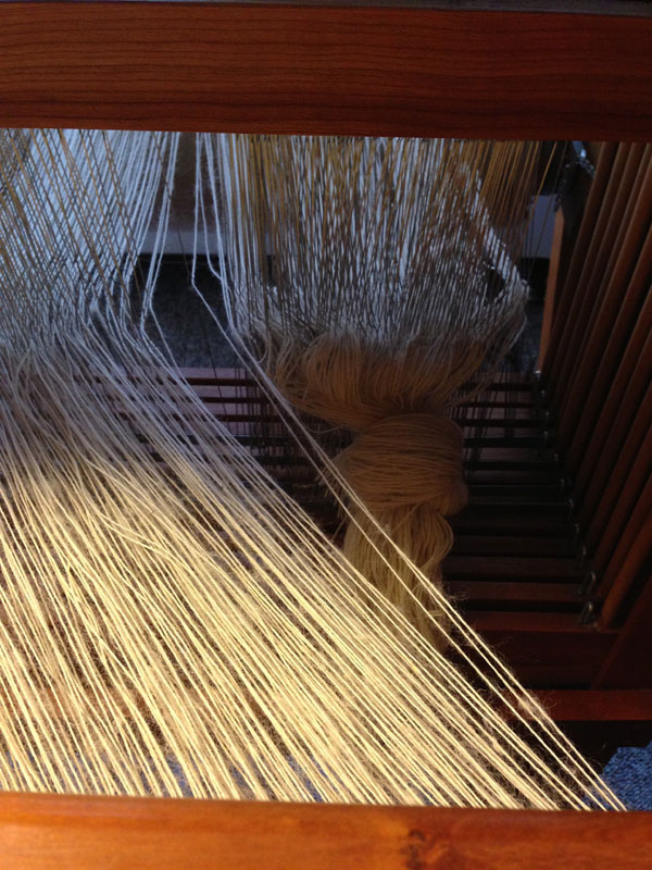 The warp after being re-sleyed, and removing the unnecessary warp threads.
